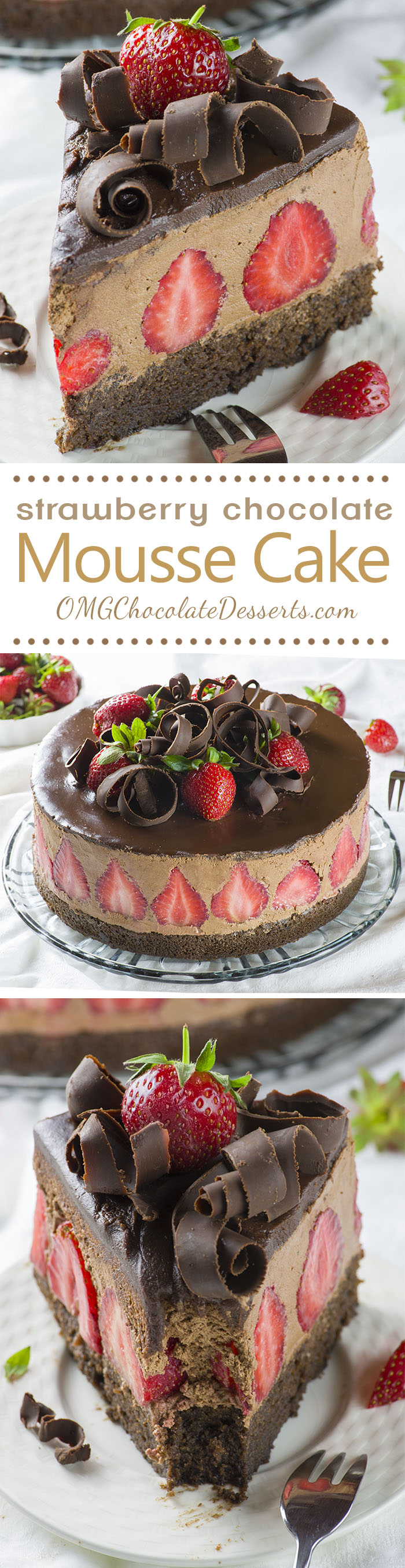 Strawberry-Chocolate-Cake-Long-1